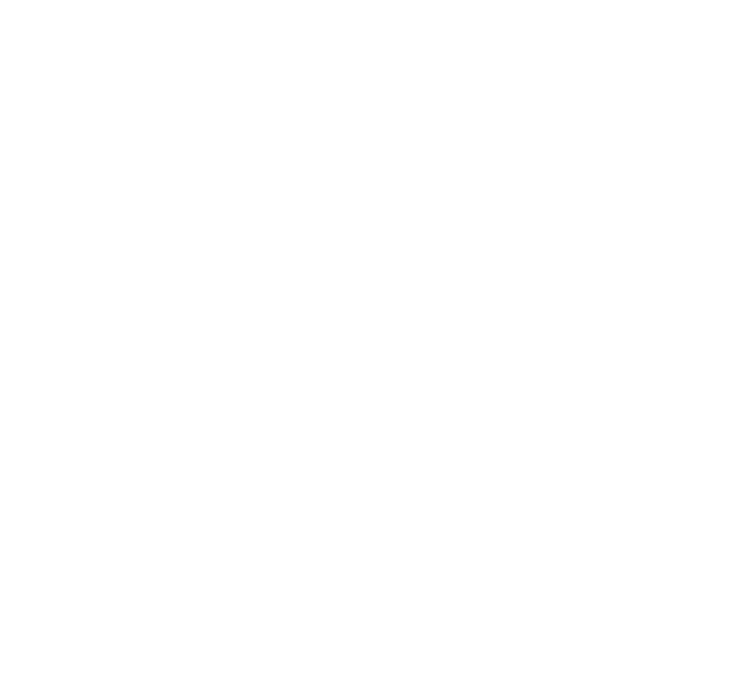 Logo anterior Yayacel